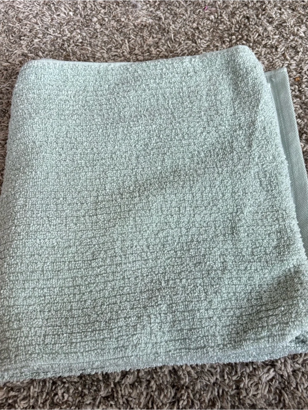 The Company Store Sage Green Plush Bath Towels - Soft Textured Set